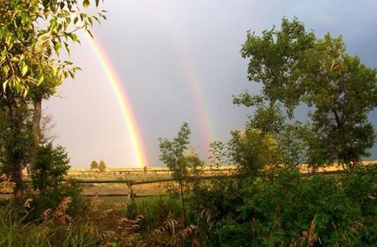 Parade Rest Ranch เวสต์เยลโลว์สโตน ภายนอก รูปภาพ